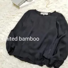 ユナイテッドバンブーUnitedbambooクルーネックシアートップスすけ感素材