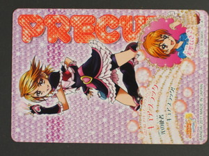 バンダイ 映画 プリキュアオールスターズDX3 未来にとどけ！世界をつなぐ☆虹色の花 プリキュア カードダス 美墨なぎさ 管理No.11442