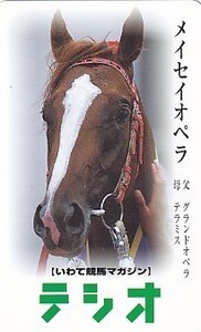 ●いわて競馬マガジンテシオ メイセイオペラテレカ