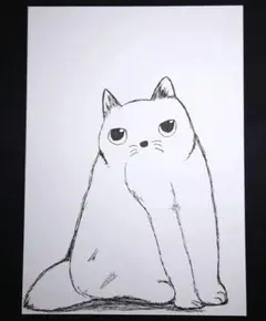 #20 A4 手描きイラスト 猫