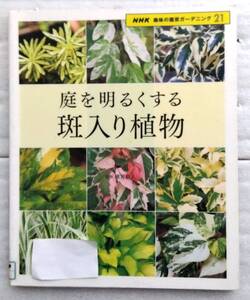 庭を明るくする斑入り植物 (NHK趣味の園芸ガーデニング21) 横井政人