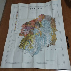 栃木県地質図　国土地理院 　地理地学地質学地層　写本古本OB