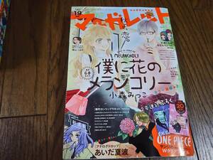 マーガレット　　2017年9月20日　19号