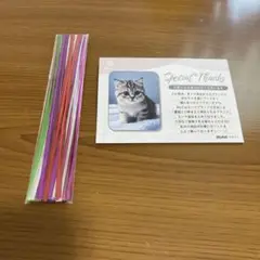 早い者勝ち⭐️MyCat マイキャット キャットタイ 猫用おもちゃ ひとり遊び