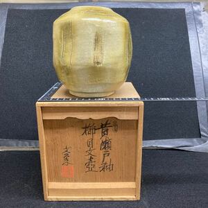 瀬戸焼き　大江文象造(物故作家) 黄瀬戸釉　　　　節目文壺　共箱付き　アンテーク