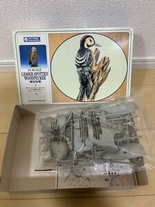 旧グンゼ産業 1/1 SCALE 野鳥コレクションキツツキ　LESSER SPOTTED WOODPECKER