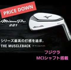 ☆大幅値引き☆【日本正規品】Mizuno Pro221アイアンセット