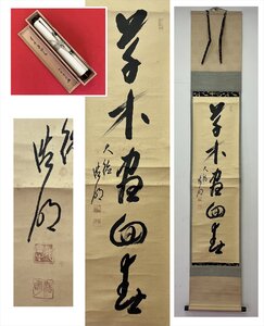 【千寿】大徳寺十二代管長 方谷浩明 草木尽回春 一行書 紙本 d847◆箱/茶道具/古美術/時代品/掛軸/100027219