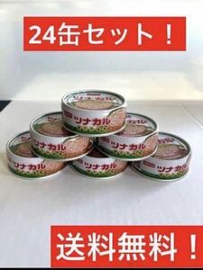 大特価　ホテイ　ツナカル缶詰70g×24缶