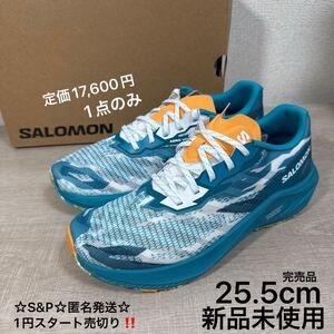 1円スタート売切り 新品未使用 定価17,600円 SALOMON サロモン AERO VOLT エアロボルト 25.5cm US7.5 ランニング ウォーキング