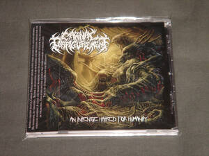 CARNAL DISFIGUREMENT/AN INTENSE HATRED FOR HUMANITY/SLAMMING BRUTAL DEATH METAL/スラミング・ブルータル・デス・メタル/ブルデス