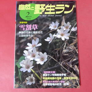 YN3-250109☆自然と野生ラン ◆ 2008年2月号　雪割草　東洋ラン　中国奥地蘭