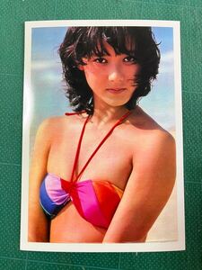 【レア】斉藤慶子　写真　ビキニ　小麦色　控えめ膨らみ　スレンダー　べっぴん　昭和タレント