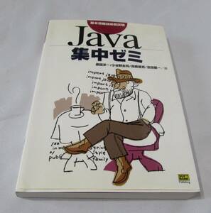 [No1278] 技術書籍 Java集中ゼミ 中古良品