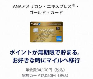 【正規紹介】ANAアメリカン・エキスプレス・ゴールド・カード 特典73,000ポイント MARRIOT AMEX 審査緩 ブラック 外国籍 低収入 主婦 歓迎