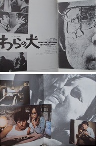 1971-72年【わらの犬/STRAW DOGS】サム・ペキンパー/ダスティン・ホフマン.スーザン・ジョージ/映画パンフレット/洋画/傷み難有.ジャンク