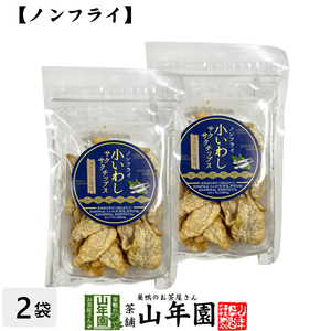 カルシウム豊富 ノンフライ 小いわし サクサクチップス 40g×2袋セット