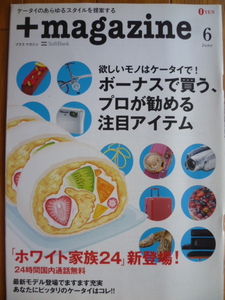 ＋magazine 2007/6☆プロが勧める注目アイテム/小栗旬/竹内まりや/夏目房之介/ＬｉＬｉＣｏ