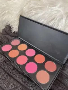 コースタルセンツ⭐︎Coastal Scents 10 Blush Palette