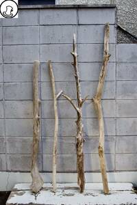 SEASIDEinterior☆枝分かれ流木の4本セット,Cool driftwood for decorating 118