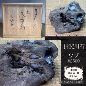 【信濃美術石博物館】水石 揖斐川石 溜まり石 ウブ『天邪鬼』桐箱付 2箇所ヌケあり横22×高14.5(cm)5.52kg 骨董盆石古美術中国古玩 2500