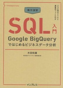 集中演習ＳＱＬ入門 Ｇｏｏｇｌｅ　ＢｉｇＱｕｅｒｙではじめるビジネスデータ分析 できるＤｉｇｉｔａｌ　Ｃａｍｐ／木田和廣(著者)