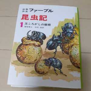  アンリファーブル 少年少女ファーブル昆虫記 1 玉ころがしの 観察 小学生 夏休み 読書感想文 昆虫 虫 幼虫 さなぎ 産卵 巣 生き物 生物 