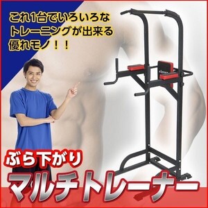 マルチトレーナー ぶら下がり健康器 腹筋 背筋 懸垂 フィットネス トレーニング ダイエット スポーツ器具