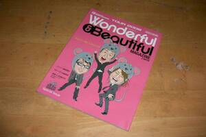 レミオロメンREMIOROMEN TOUR 2008 Wonderful＆Beautiful パンフ