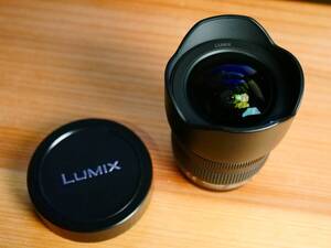 Panasonic LUMIX G VARIO 7-14mm F4.0