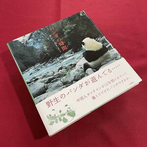 送料込★写真集 パンダの時間 ケレン・スー★野生のパンダが遊んでる…中国人カメラマンが12年間にわたって撮りつづけたパンダのすみか。