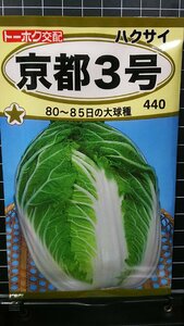 ３袋セット 京都３号 白菜 種 郵便は送料無料 ハクサイ