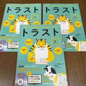 最新☆中学社会科のプリント　トラスト　3冊