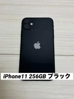 【動作問題なし】iPhone11 256GB ブラック