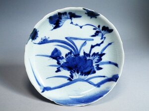 古伊万里　菊花図　六寸皿　NO.F4-1356