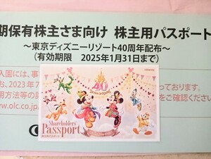 東京ディズニーリゾート ディズニー株主優待パスポート ディズニーランド ディズニーシー１枚