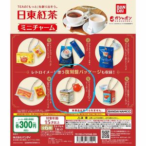 日東紅茶 ミニチャーム【1955年】白缶112.5g +ティーポット ガチャガチャ 送料無料