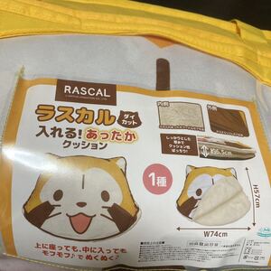 あらいぐまラスカル ラスカル ダイカット 入れる！あったかクッション ぬいぐるみ BIG でっかい 毛布 クッション 大きい 大きめ