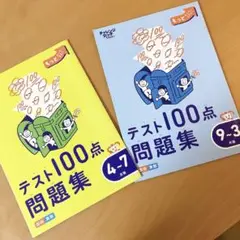 テスト100点問題集 国語算数