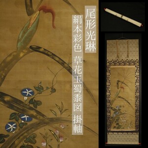 【模写】【LIG】尾形光琳 絹本彩色 草花玉蜀黍図 掛軸 箱付 旧家収蔵品 [.QP]24.10