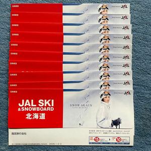 矢田亜希子　JAL 2005 航空券入れ　10枚　未使用　北海道　JAL SKI