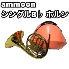 ammoon シングルB♭ ホルン　シャイニーケース付き