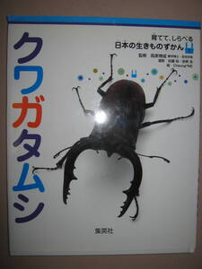 ・クワガタムシ　育てて、しらべる　日本の生きものずかん：クワガタ大集合新しい生きもの図鑑小学校低学年向き・集英社大判 定価：\1,200