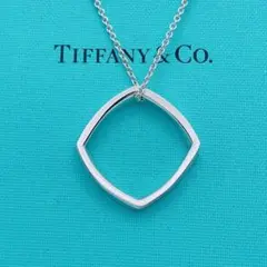 Tiffany & Co. 希少　ネックレス　トルク　ナロー　フランクゲーリー