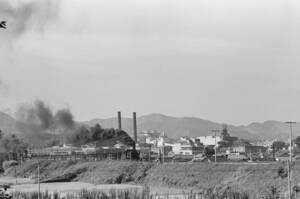 飾って楽しむ鉄道写真（去りゆく蒸気機関車：田川線 ） NO.63840441