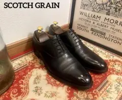 美品　SCOTCH GRAIN ストレートチップ　本革　綺麗