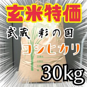 新米 特別セール！玄米限定 令和6年 埼玉県産コシヒカリ 玄米 30kg 美味しいお米