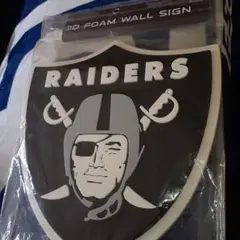 RAIDERS