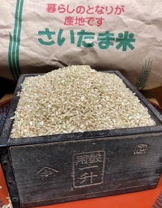 新米！送料込み！　令和５年産特別栽培米コシヒカリ１００％　玄米25ｋｇ　白鳥飛来の郷川島町　精米・小分け無料です！