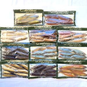 1212 ワームセット キャスティーク ジャーキーＪ Castaic Soft Bait Jerky J 大量 まとめ バス釣り #5123